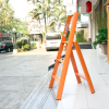Thang nhôm 3 bậc Advindeq AV303